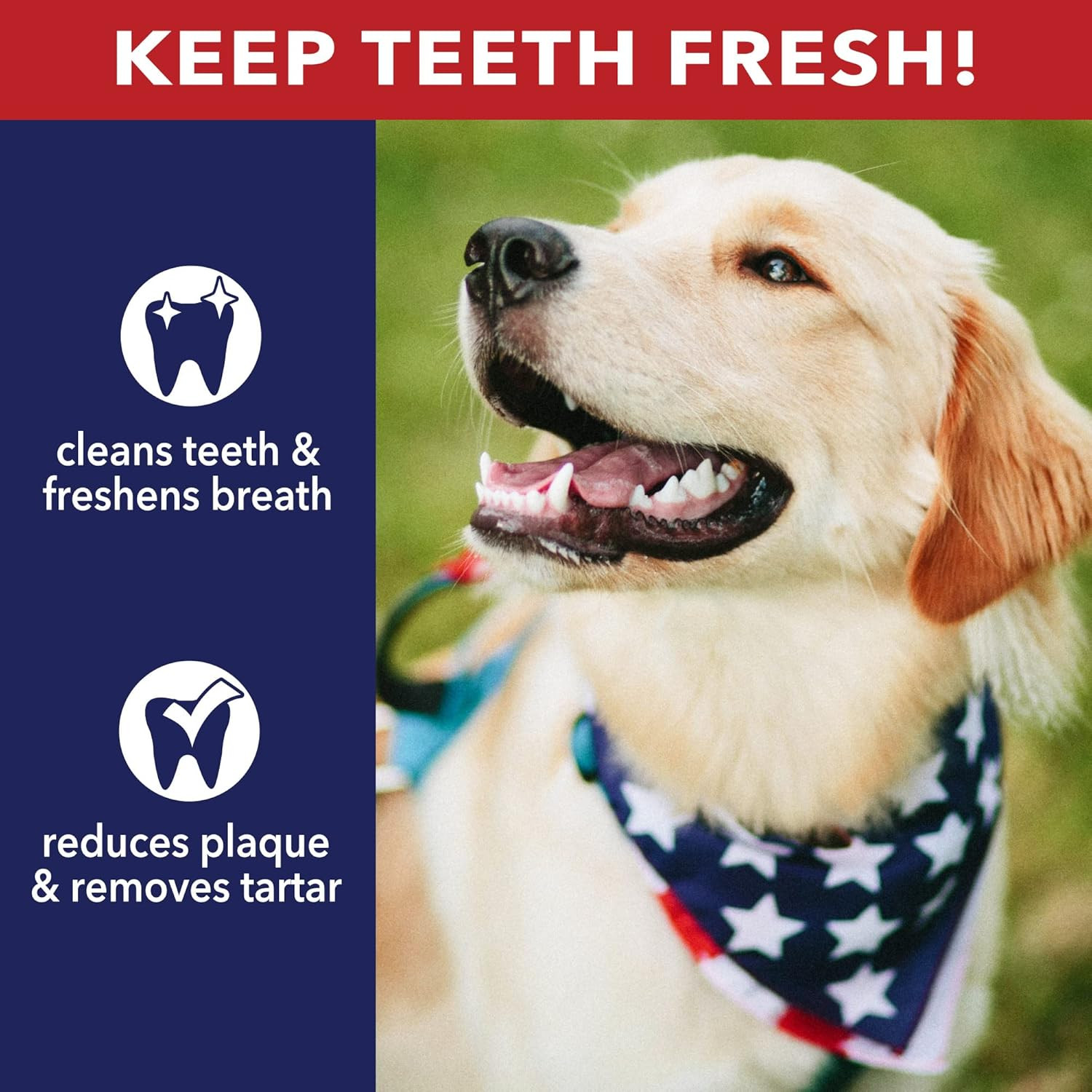 100% Made in USA Beefhide 8″ Rolls Dog Chew Treats – Beef Flavor, 15 Count/1 Pac