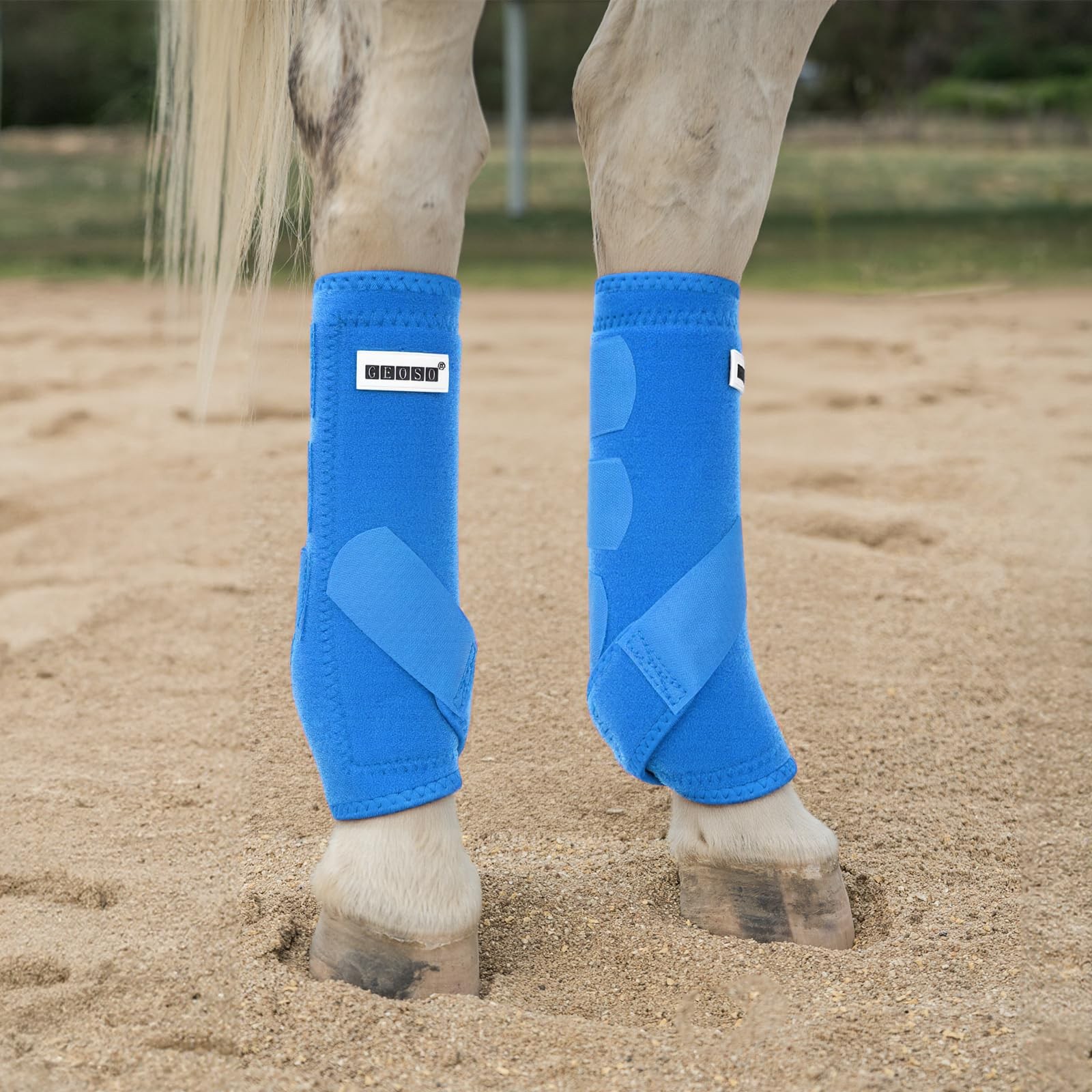 Geoso All-Around Support Horse Splint Sport Bootsprofessional Ok Fabric