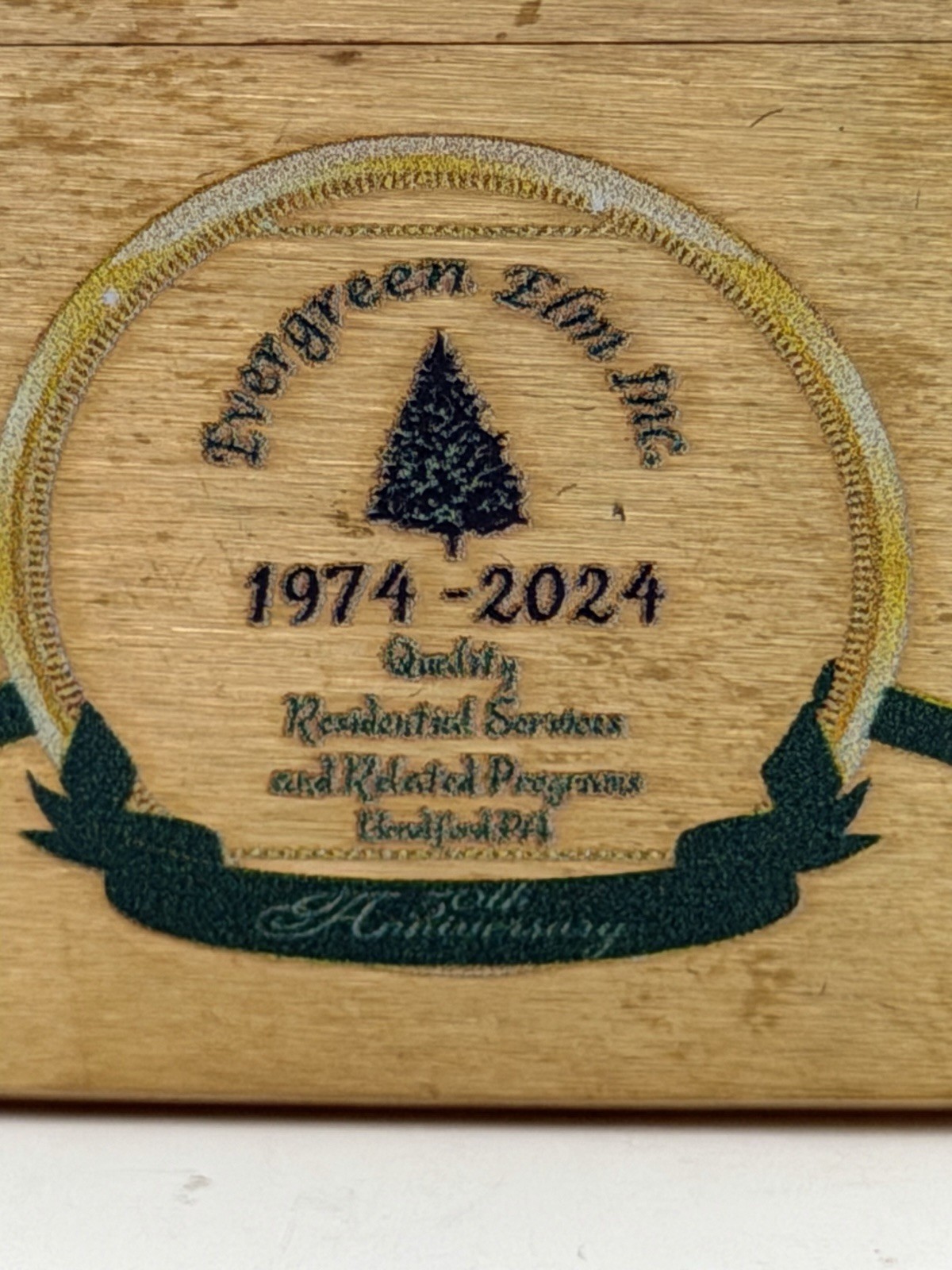 2024 Limited Evergreen Elm 50th Anniversary Brass Zippo Lighter New B42