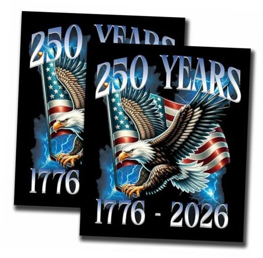 2 Pack 250 Anniversary USA 250th American United States Eagle Patriotic 1776