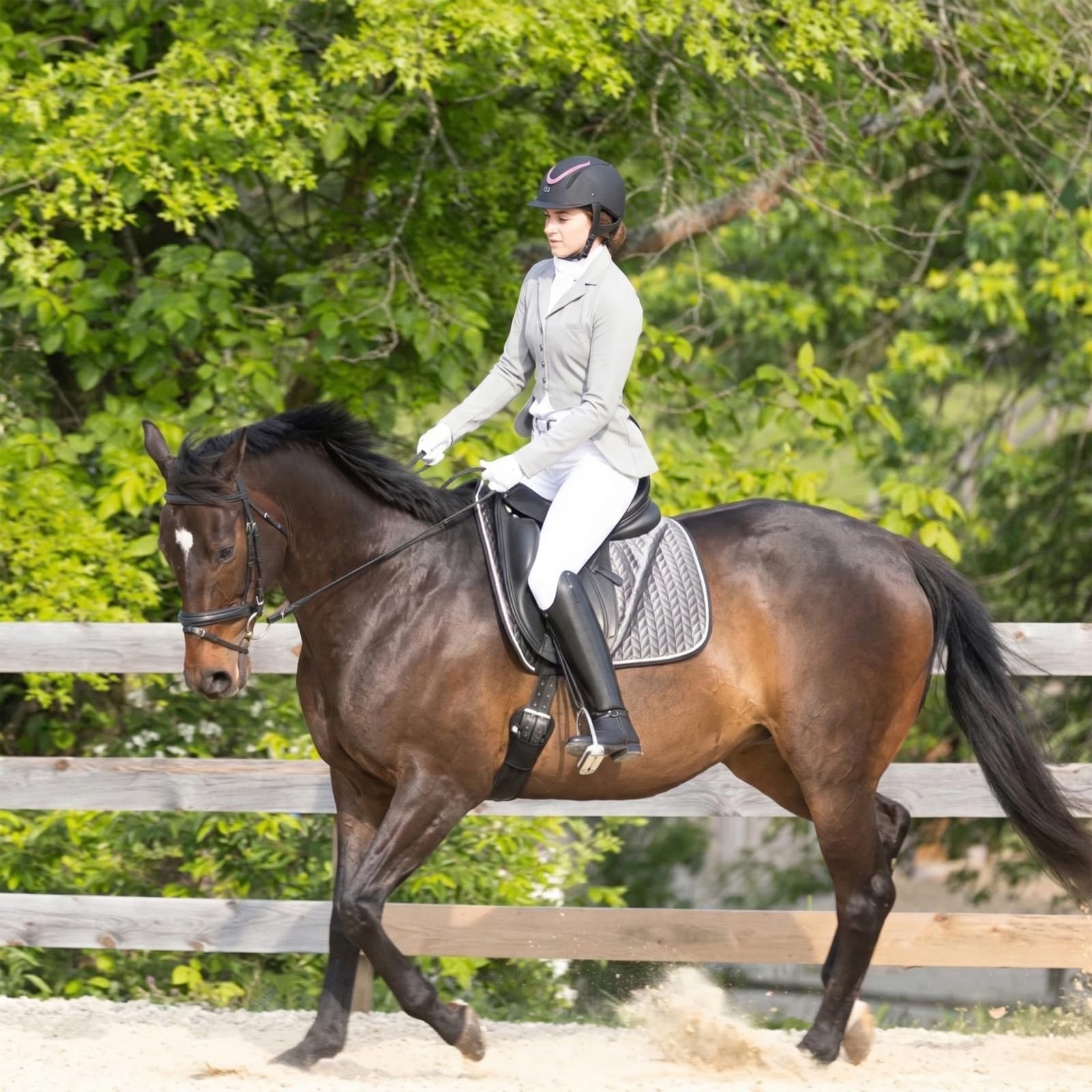 Ovation Unisex Z-6 Glitz Ii Riding Helmet – Durable Adjustable Equestrian