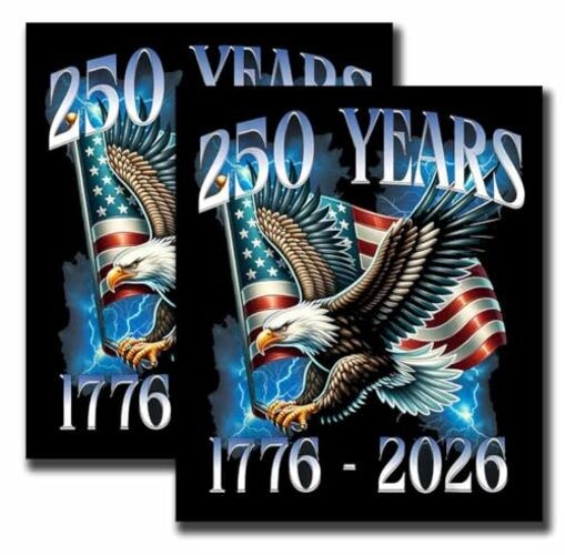 2 Pack 250 Anniversary USA 250th American United States Eagle Patriotic 1776