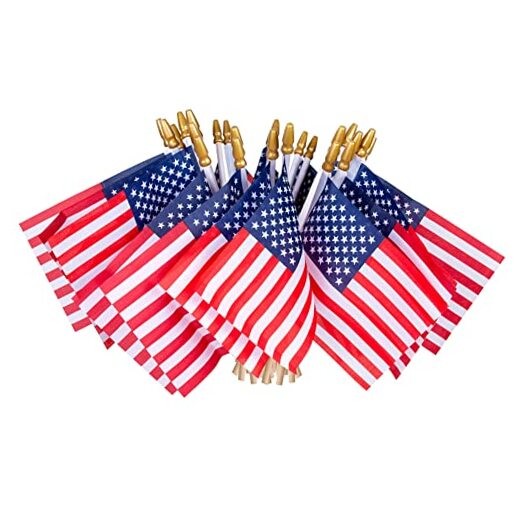 HOOSUN 12 Pcs Small American Flags On Stick,4th of July Decorations Small USA