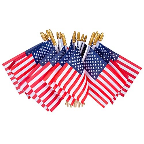 HOOSUN 12 Pcs Small American Flags On Stick,4th of July Decorations Small USA