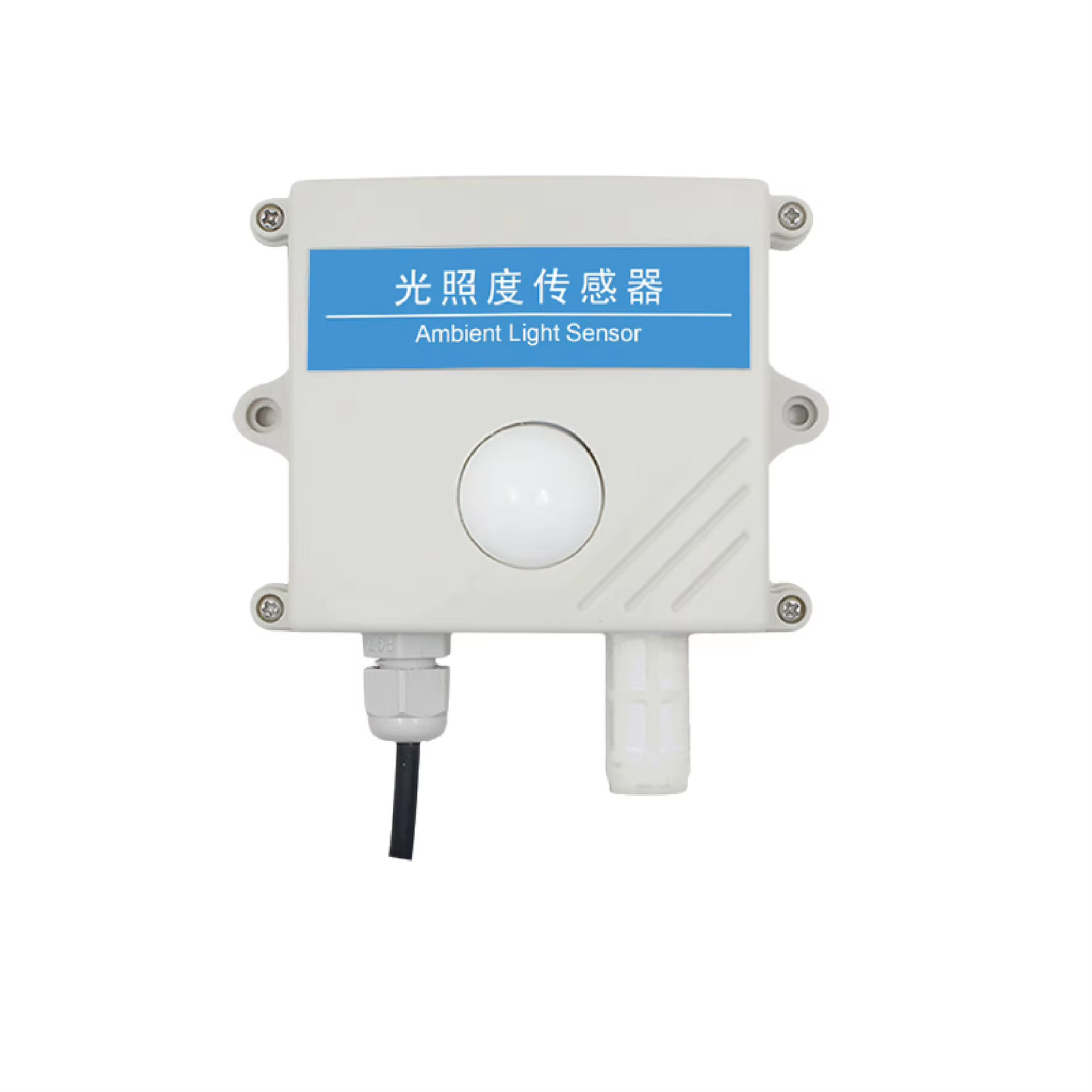 Wall or Ceiling Mount High Precision Ambient Light Sensor RS485 Analog IP65 Lux