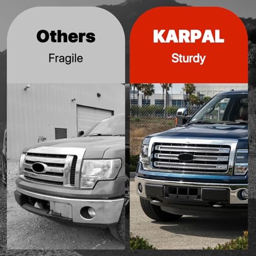 Front Lower Bumper Grille Trim Panel 2009-2014 | For Ford F150 | Lower Grille