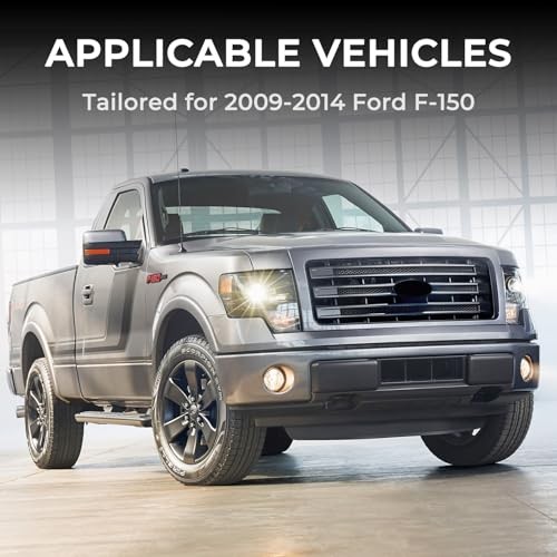 Front Lower Bumper Grille Trim Panel 2009-2014 | For Ford F150 | Lower Grille