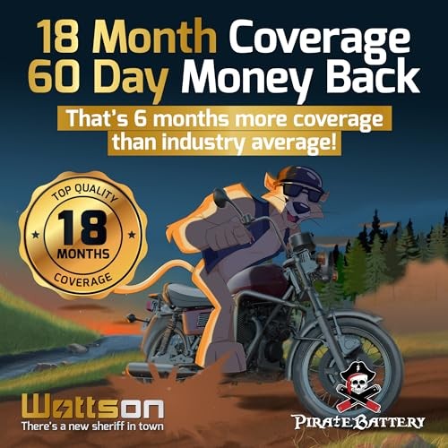 310 CCA Maintenance-Free 12V 19Ah Battery Replacement for ATV, YTX20HL-BS