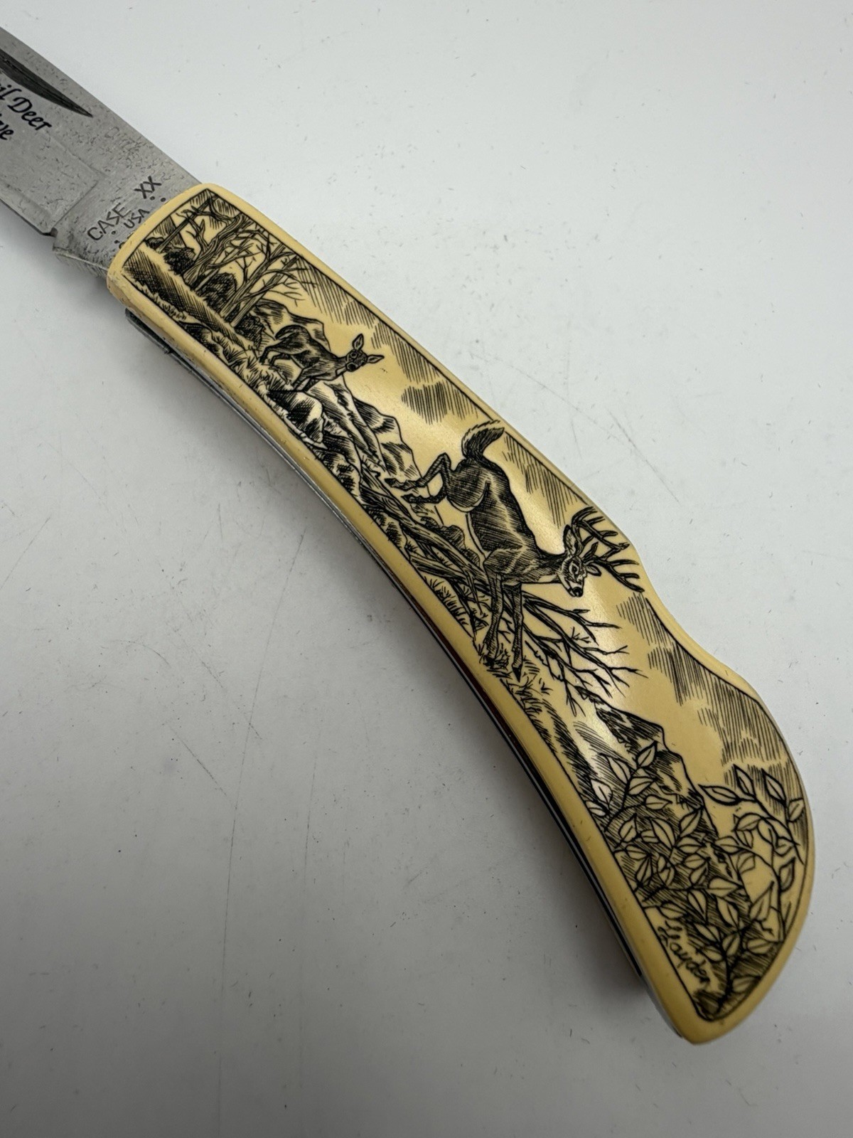 Limited Whitetail Deer Commemorative Case XX Knife & Chrome Zippo Lighter NEW
