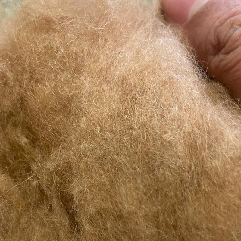 Camel Wool Cotton 10 Bags for Zippo Lighter Insert Fuel Wick Replacement
