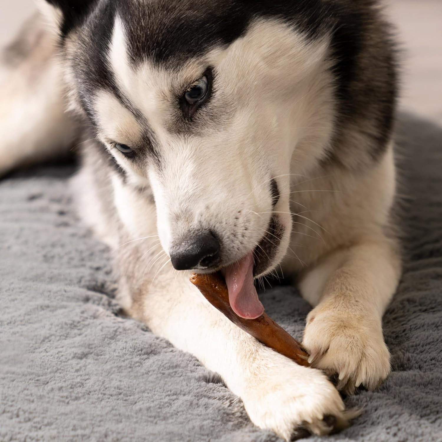 100% Made in USA Beefhide 5″ Chip Rolls Dog Chew Treats – Beef & Chicken Flavor,